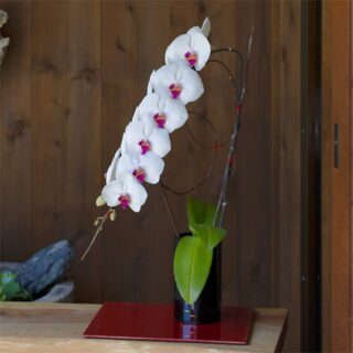 赤リップ胡蝶蘭 / 紀州漆丸形花器（3色から選択）